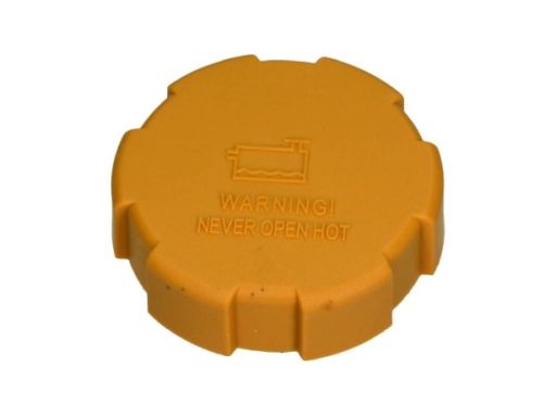 28-0321 Korek Zbiornika Wyrównawczego Opel/Nissa Maxgear