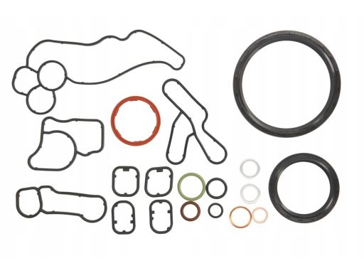 456.250 Zestaw Uszczelek Skrzyni Korbowej Elring