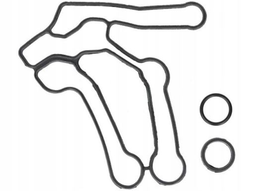 724.580 Zestaw Uszczelek Chłodnicy Oleju Elring