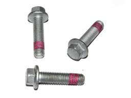 729.621 Śruba Układu Wydechowego Elring