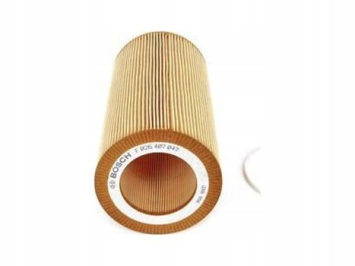 F 026 407 047 Filtr Oleju Bosch