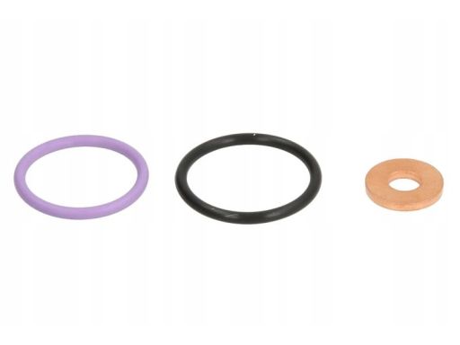 874.950 Zestaw Uszczelek Wtryskiwacza Elring