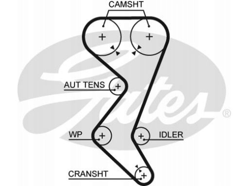 5528Xs Pasek Rozrządu Gates