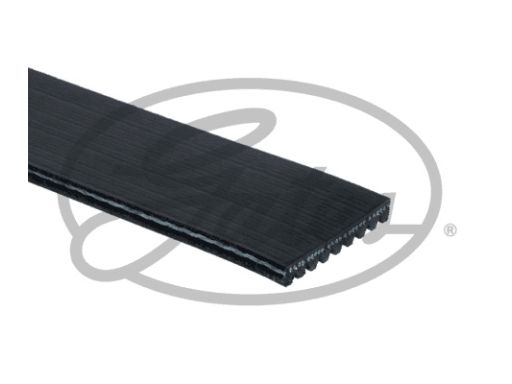 9Pk1930Hd Pasek Wieloklinowy Gates