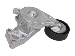 54-0557 Napinacz Paska Wielorowk. Vw1,9Td Maxgear