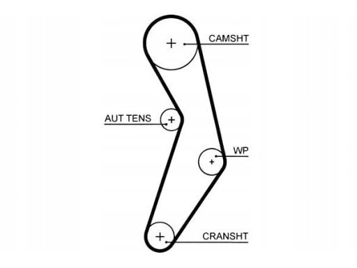 5503Xs Pasek Rozrządu Gates