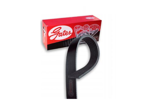 8Pk2533Hd Pasek Wieloklinowy Gates