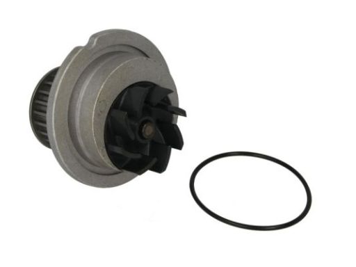 D10018Tt Pompa Cieczy Chłodzącej Thermotec