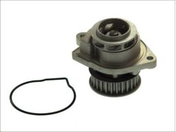 D1W022Tt Pompa Cieczy Chłodzącej Thermotec