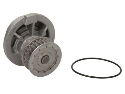 D1X021Tt Pompa Cieczy Chłodzącej Thermotec