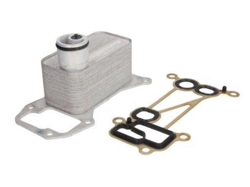 D4B019Tt Chłodnica Oleju Thermotec