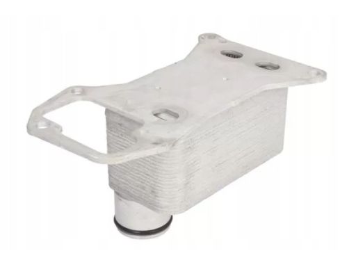 D4B019Tt Chłodnica Oleju Thermotec