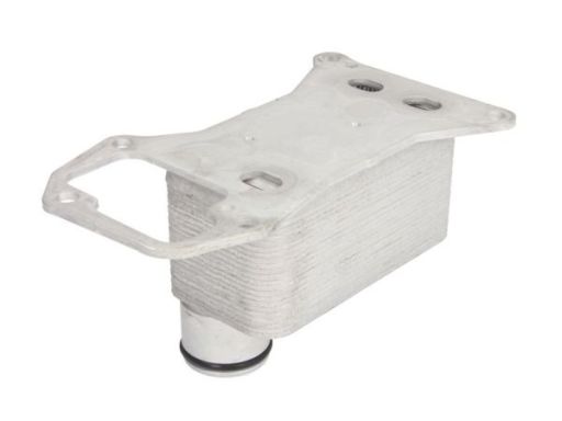 D4B019Tt Chłodnica Oleju Thermotec