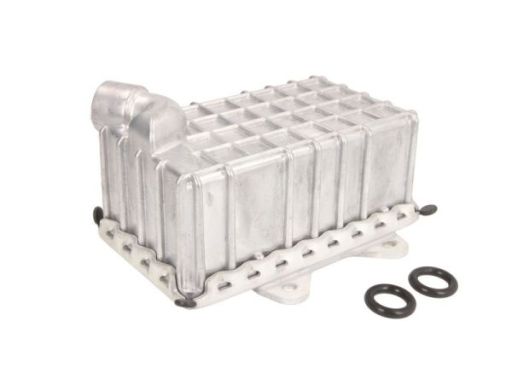 D4M003Tt Chłodnica Oleju Thermotec