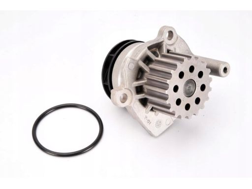 D1W049Tt Pompa Cieczy Chłodzącej Thermotec