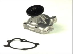 D1X040Tt Pompa Cieczy Chłodzącej Thermotec