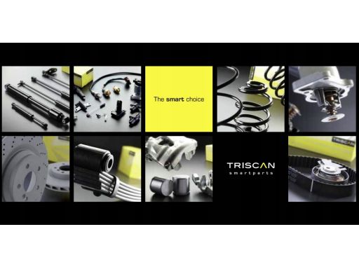 8180 14116 Czujnik Abs Nissan Juke 1,5Dci 13- Triscan