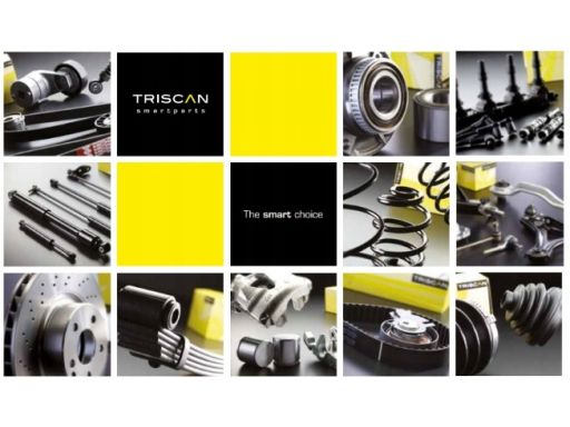 8180 24400 Czujnik Abs Opel P. Insignia 08- /Saab 9 Triscan