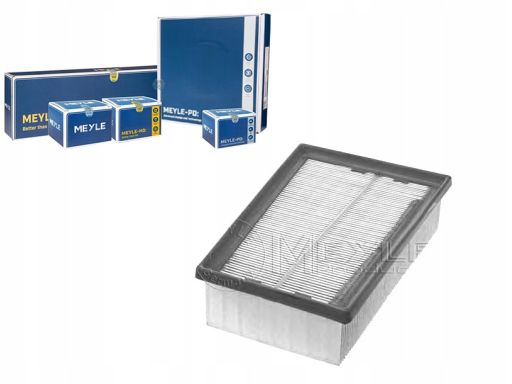 36-12 321 0010 Filtr Powietrza (Wkład Filtra) Pasuje Do: Nissan Qashqa