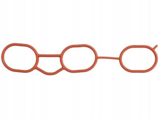 Uszczelka Kolektora Dolotowego 586.480