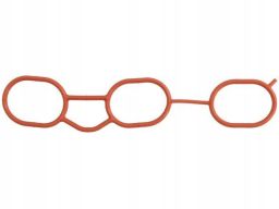 Uszczelka Kolektora Dolotowego 586.480