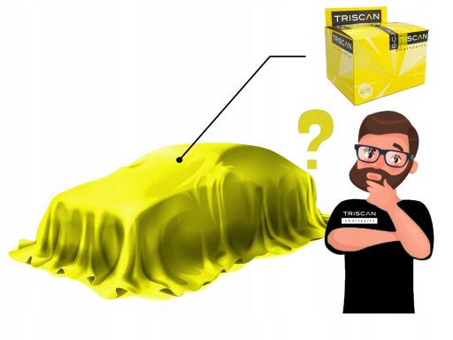 8865 14101 Czujnik Położenia Wałka Rozrz. Nissan No Triscan