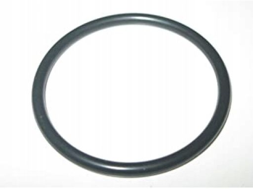 Oring uszczelka przewodu wody Mercedes A0279971848