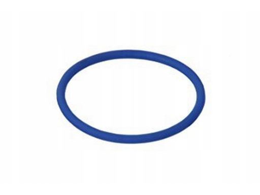 Oring zbiornika pompy paliwa VW Audi WHT005184