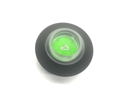 Przycisk klamka klapy bagażnika Mercedes W171 W199