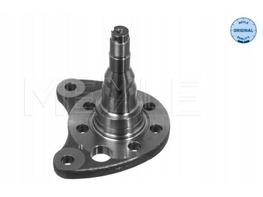 100 501 0012 Czop Piasty Koła Tył L Tył Pasuje Do: Seat Cordoba, Cordo