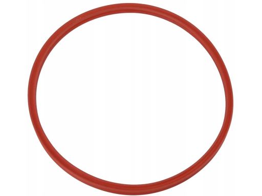 Oring zbiornika pompy paliwa Mercedes W216 W221 A 0019977141