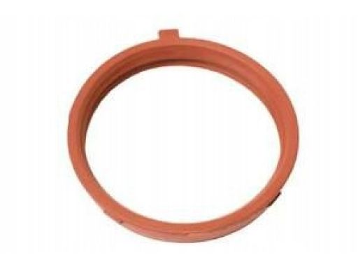 Uszczelka pierścień dolot Mercedes W219 W221 W230 A2721410780