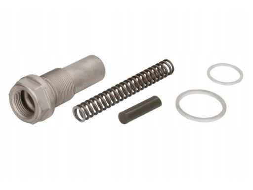 Sw10102200 Napinacz Łańcucha Rozrządu Pasuje Do: Mercedes 124 (C124),