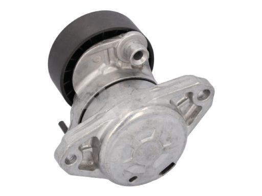 Sw10928149 Napinacz Paska Wielorowkowego Pasuje Do: Mercedes C (Cl203)