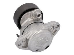 Sw10928149 Napinacz Paska Wielorowkowego Pasuje Do: Mercedes C (Cl203)