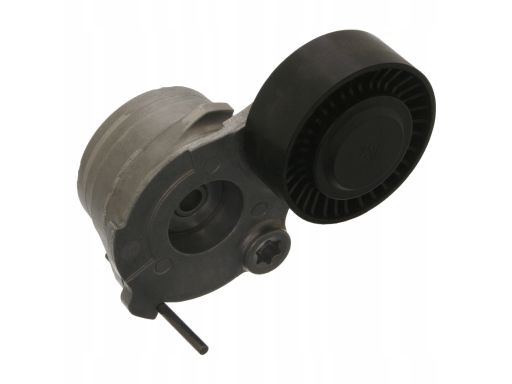 Sw30943750 Napinacz Paska Wielorowkowego Pasuje Do: Audi A4 Allroad B8