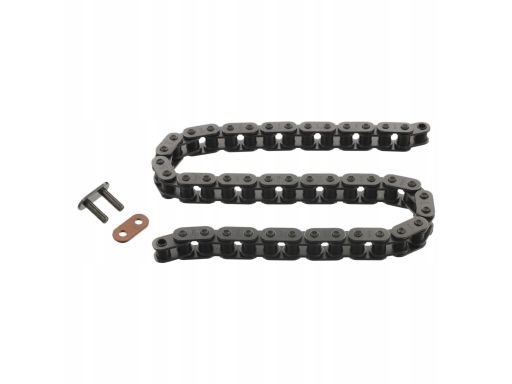 Sw99110358 Łańcuch Napędu Pompy Oleju (Liczba Ogniw: 44) Pasuje Do: