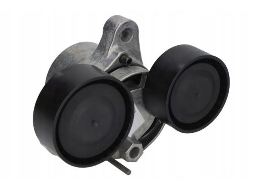 Sw20947587 Napinacz Paska Wielorowkowego Pasuje Do: Bmw 3 (E90), 3 (E9