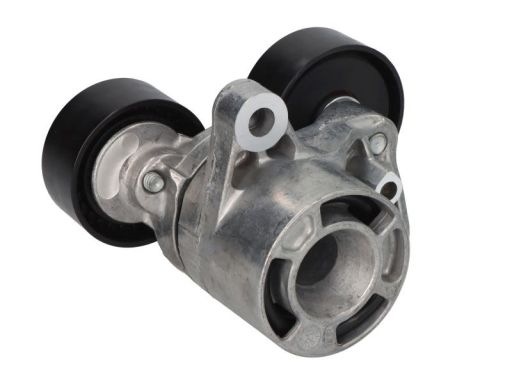 Sw20947587 Napinacz Paska Wielorowkowego Pasuje Do: Bmw 3 (E90), 3 (E9