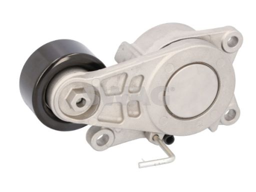 Sw33110237 Napinacz Paska Wielorowkowego Pasuje Do: Hyundai Kona,