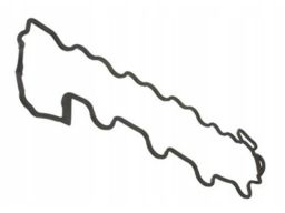 Uszczelka pokrywy zaworów Prawa Mercedes M113 M155