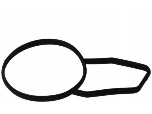 Uszczelka Termostatu BMW OE E38 E39 E46 E53 E60