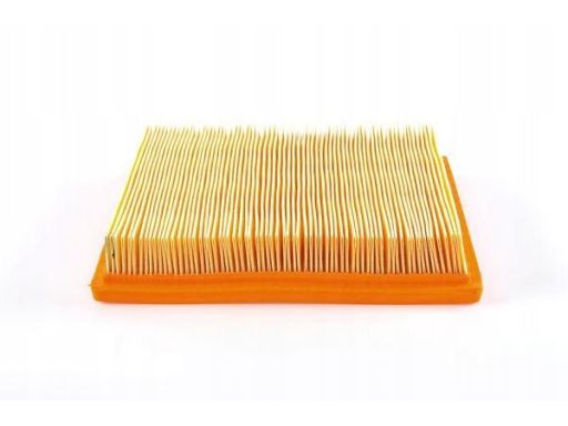 Filtr Powietrza 1 987 429 194