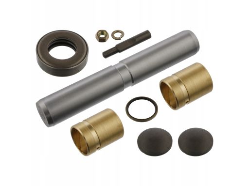 Fe04295 Zestaw Naprawczy Zwrotnicy (Z Łożyskiem 30Mmx186Mm) Pasuje Do: