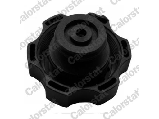 Zbiornik Wyrównawczy Opel Astra Cascada