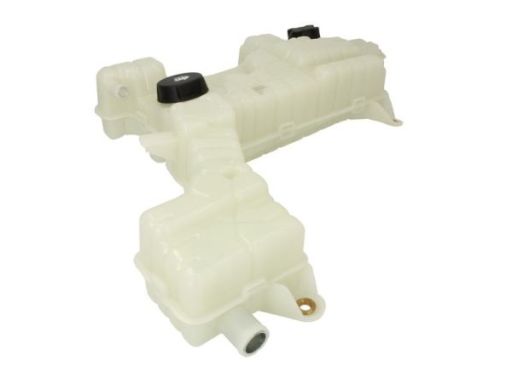 Zbiornik wyrównawczy płynu chłodzącego DAF LF 45 LF 55 BE110C-GR220 17