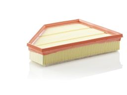 Filtr Powietrza C 30 135
