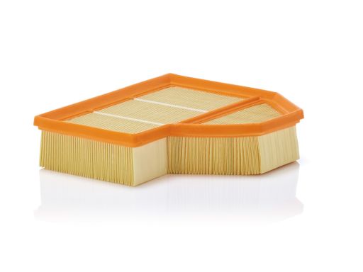 Filtr Powietrza C 25 112
