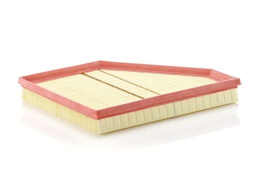 Filtr Powietrza C 3090/1