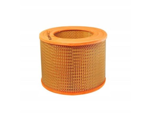 Filtr Powietrza Ar 307